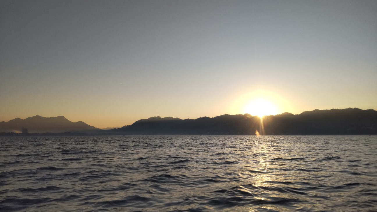 f:id:Minow:20251125082644j:image