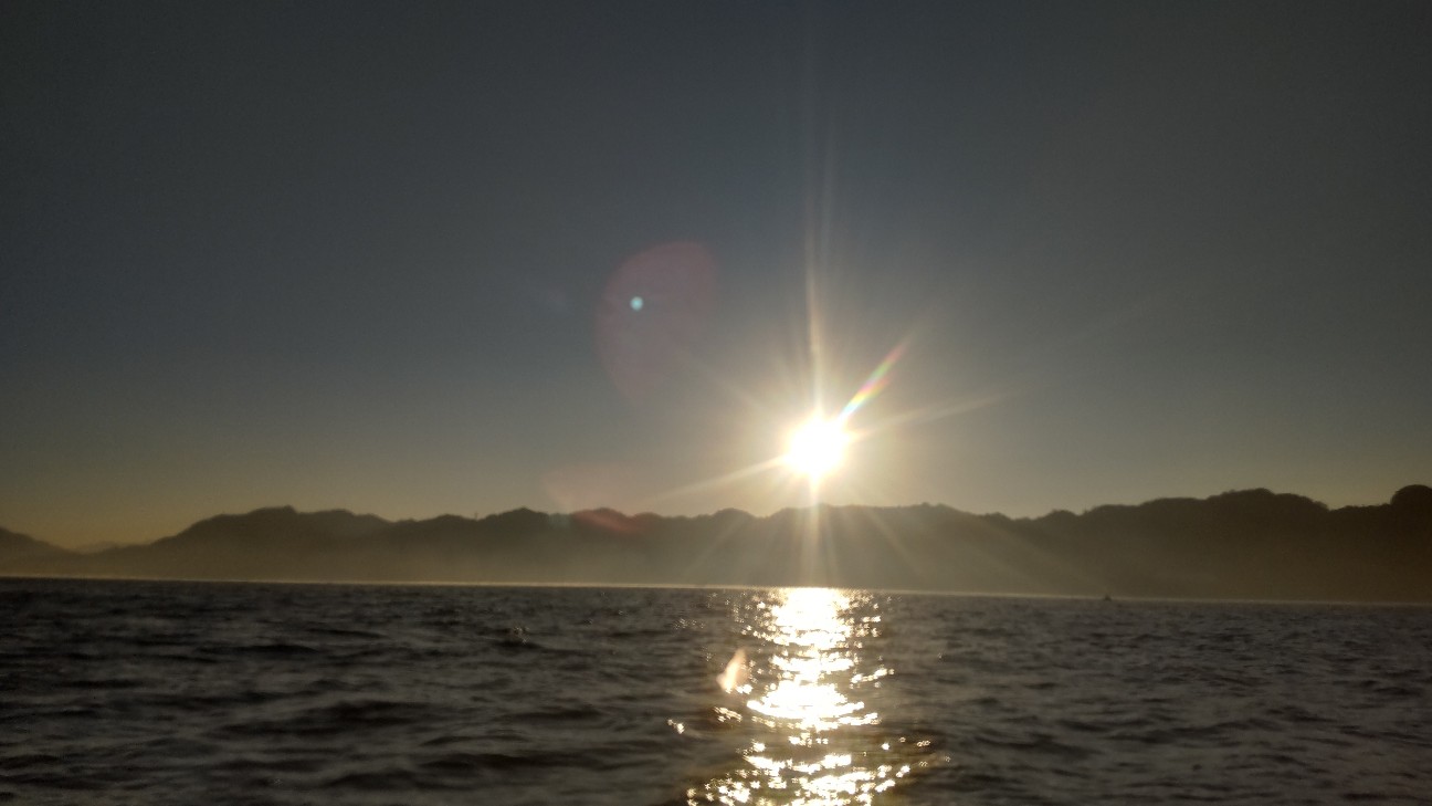 f:id:Minow:20251125082750j:image