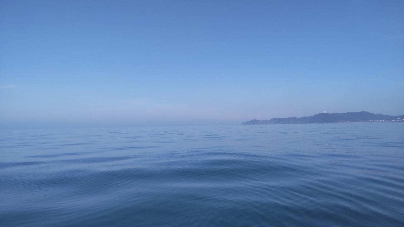 f:id:Minow:20260301080336j:image