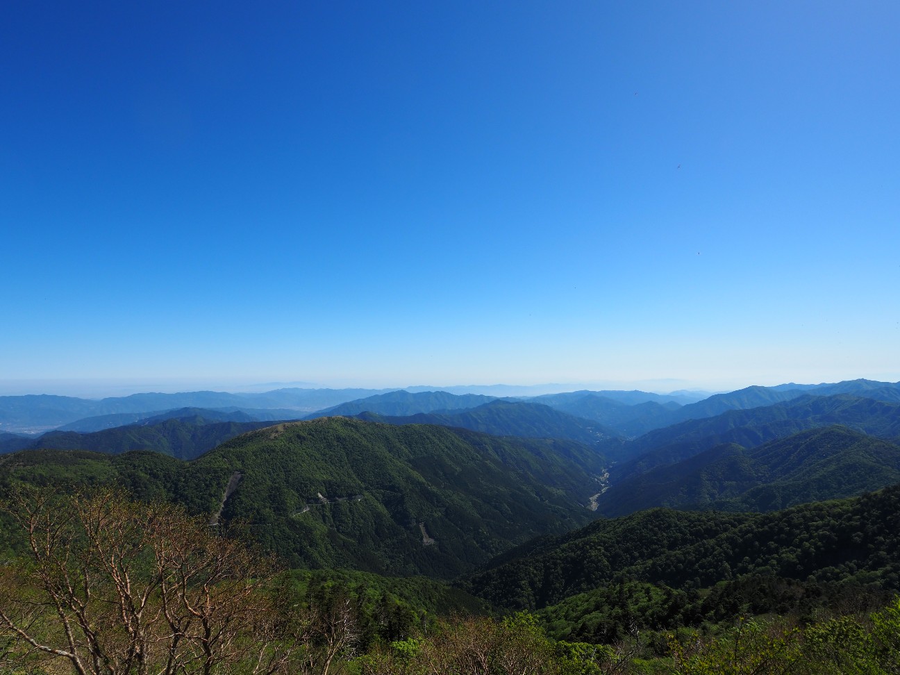 f:id:Minow:20260530171333j:image f:id:Minow:20260530171333j:image