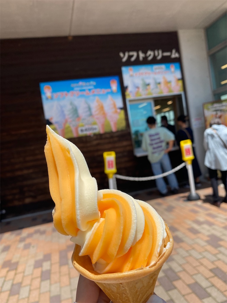 f:id:Minto0310:20241109211643j:image