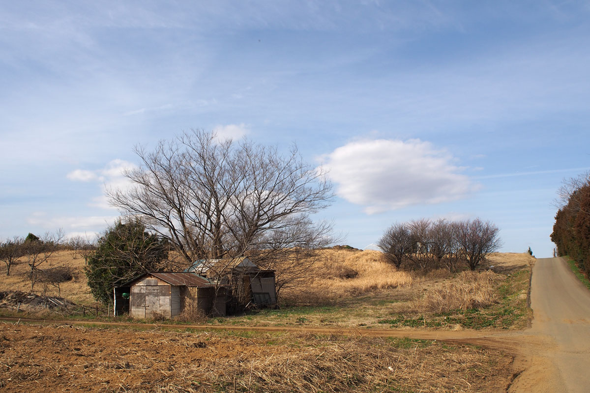Olympus E-P5で撮影
