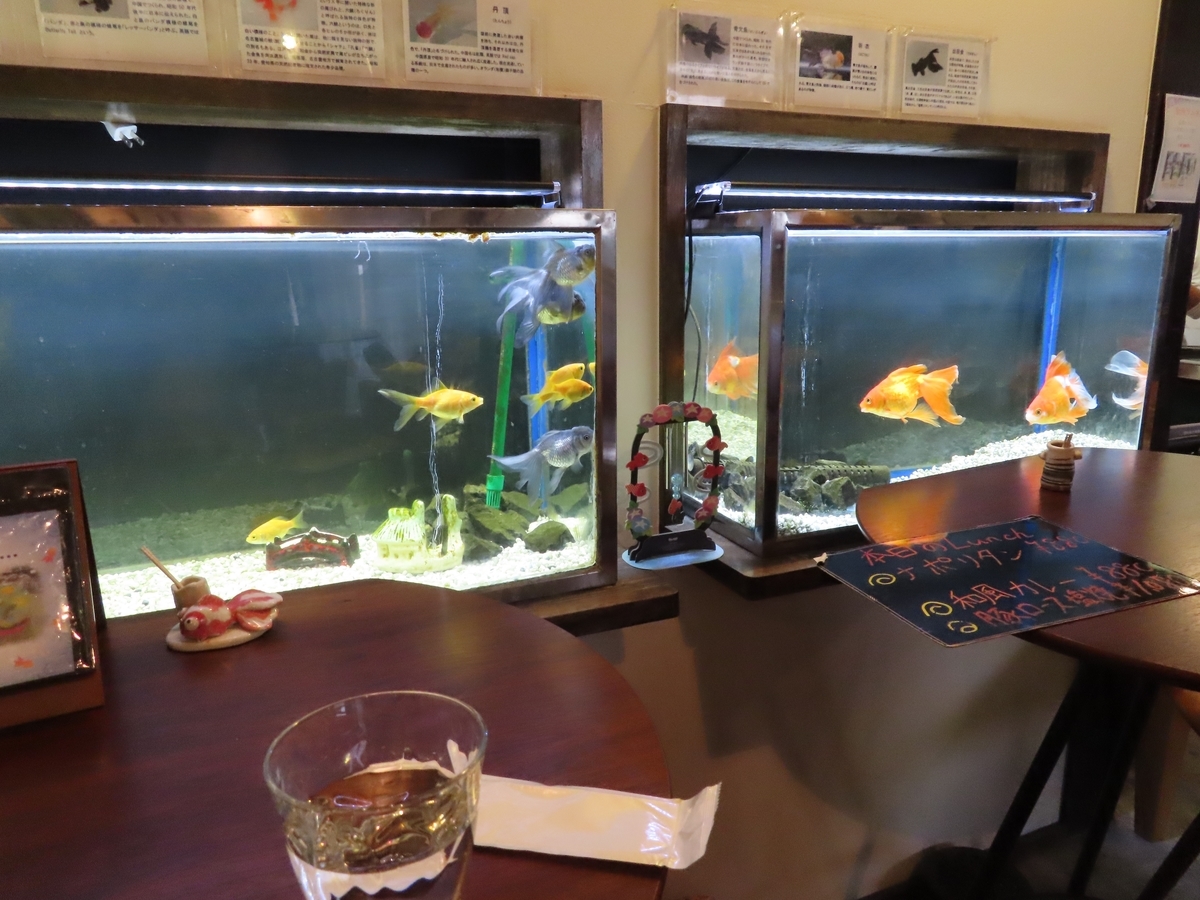 f:id:Mirik:20190502213448j:plain