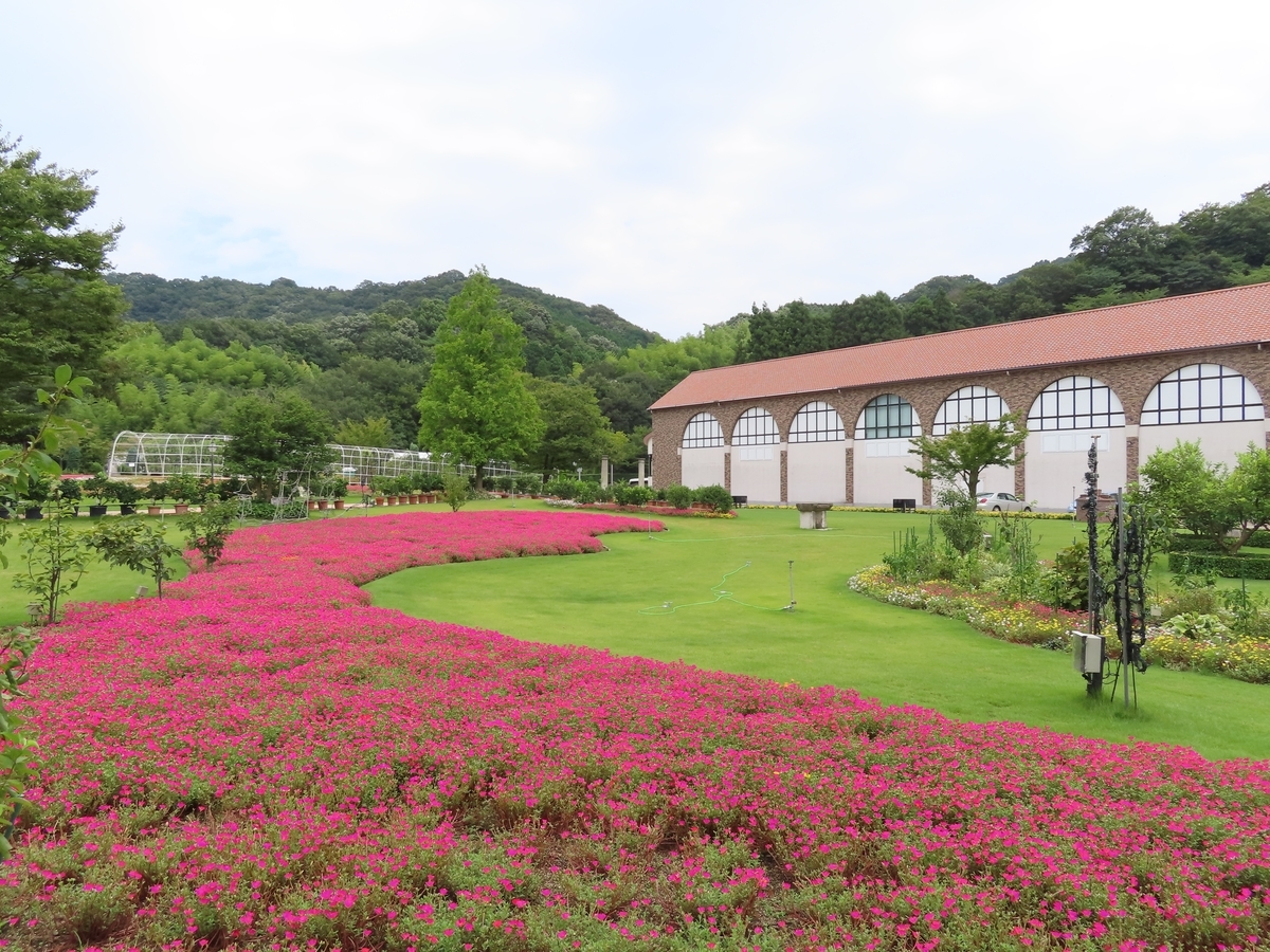 f:id:Mirik:20190824215219j:plain