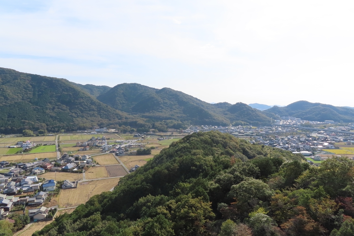 f:id:Mirik:20201105154818j:plain