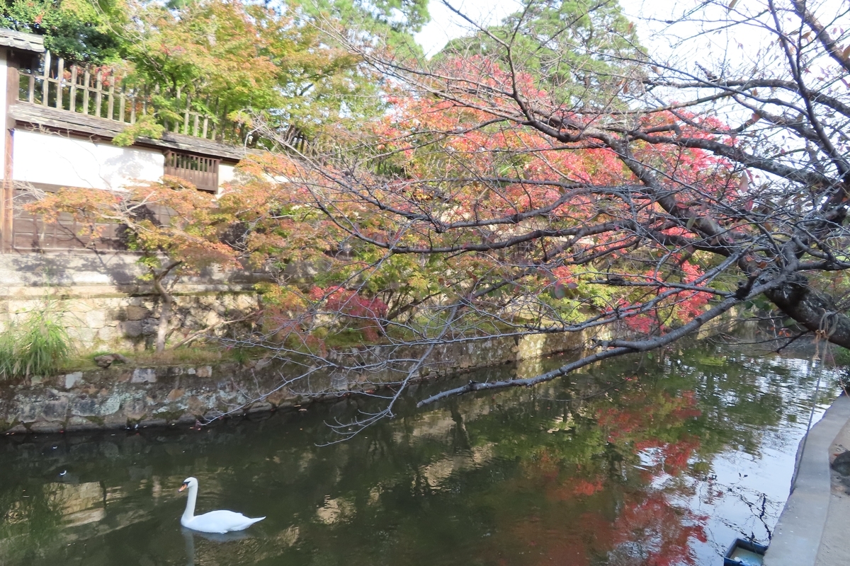 f:id:Mirik:20201105160118j:plain