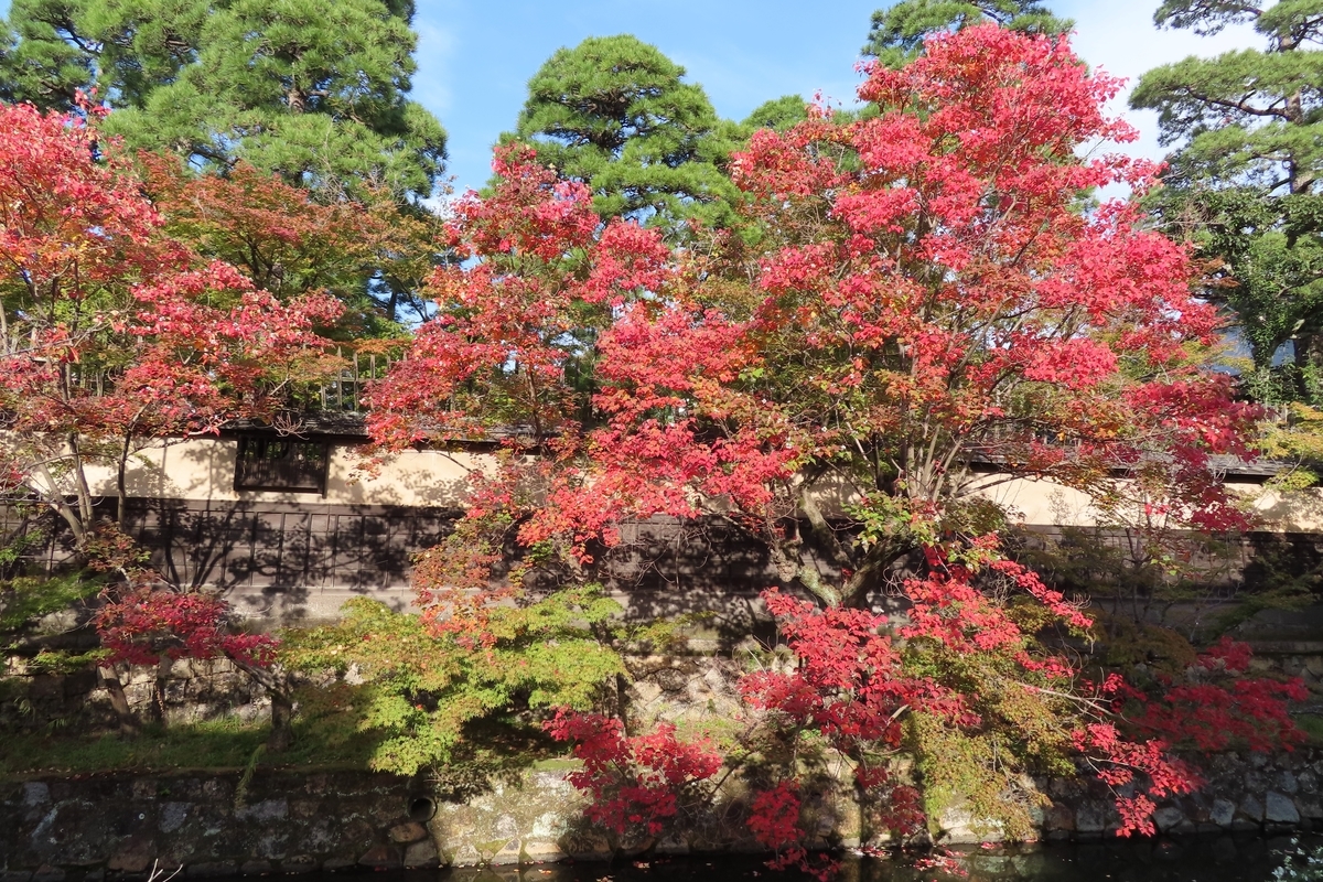 f:id:Mirik:20201105160127j:plain