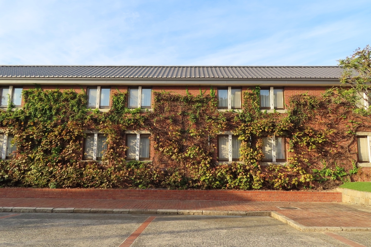 f:id:Mirik:20201105161136j:plain