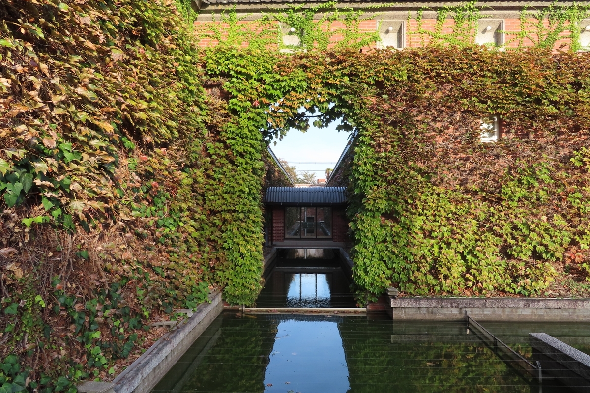 f:id:Mirik:20201105161143j:plain