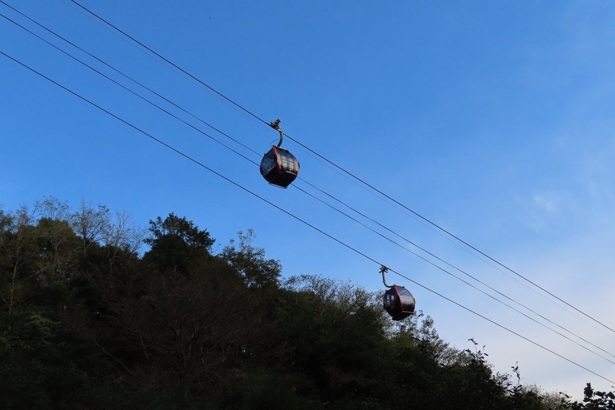 f:id:Mirik:20211103124246j:plain