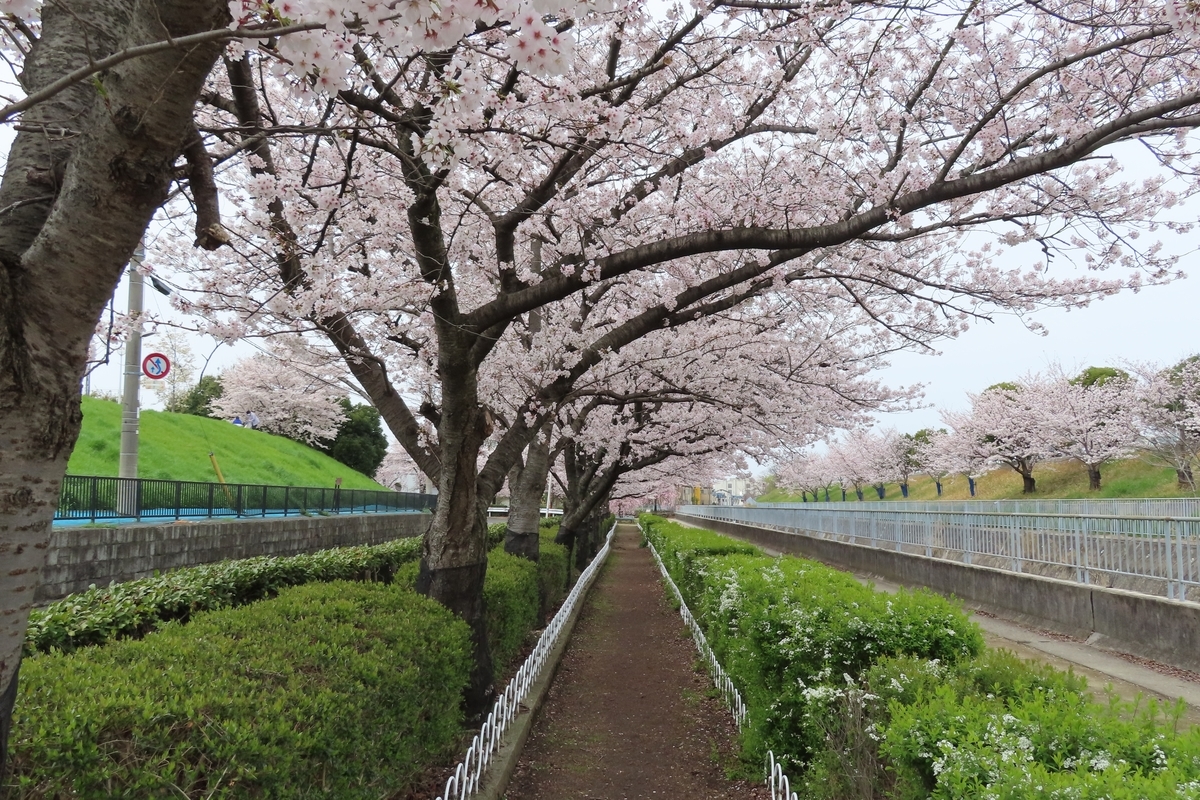 f:id:Mirik:20220402192851j:plain