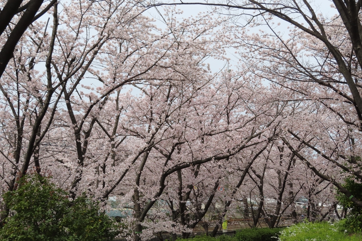 f:id:Mirik:20220402192935j:plain