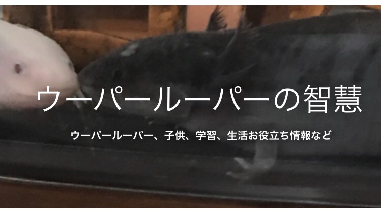 はてなブログのブログタイトルの位置の微調整と背景写真の設定 