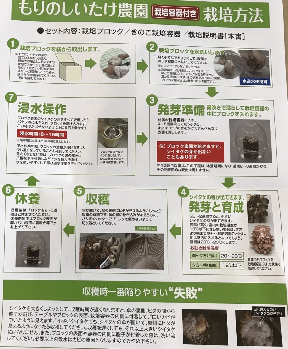 自宅で新鮮なしいたけが沢山食べられる シイタケ栽培キットの椎茸観察日記 ウーパールーパーの智慧