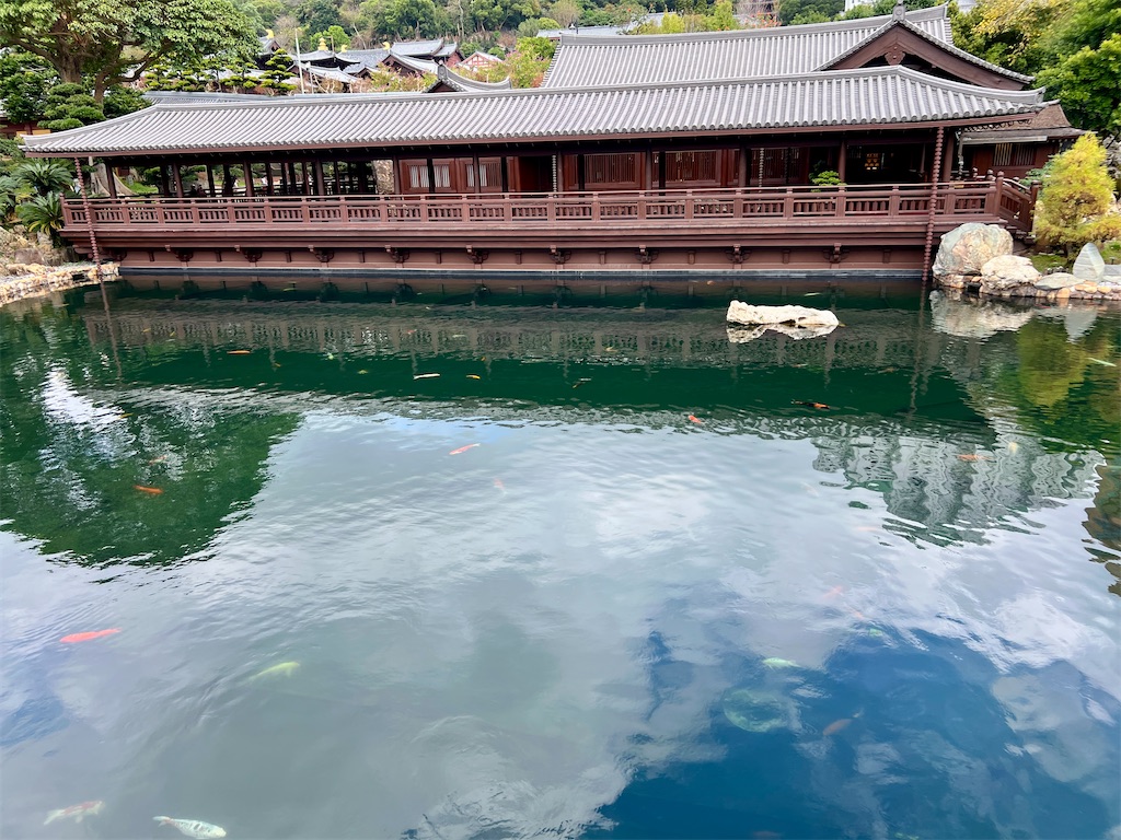 f:id:MisaTamaki:20250325184312j:image