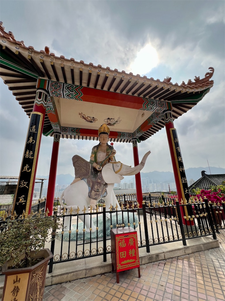 f:id:MisaTamaki:20250327152842j:image