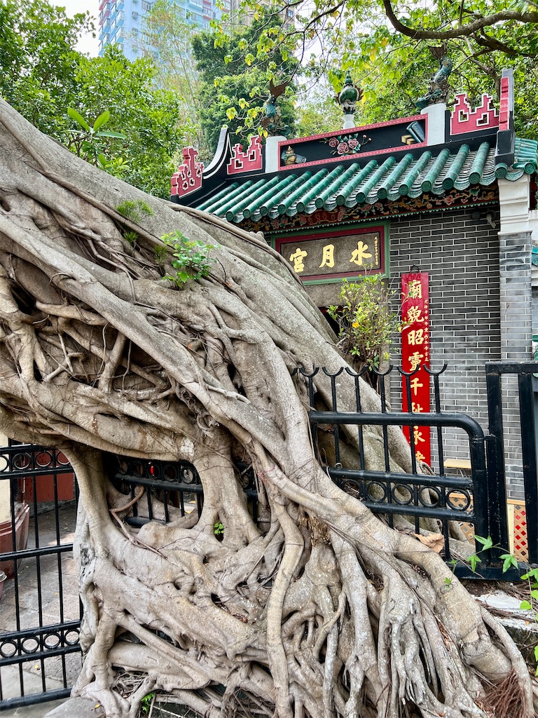 f:id:MisaTamaki:20250330154104j:image