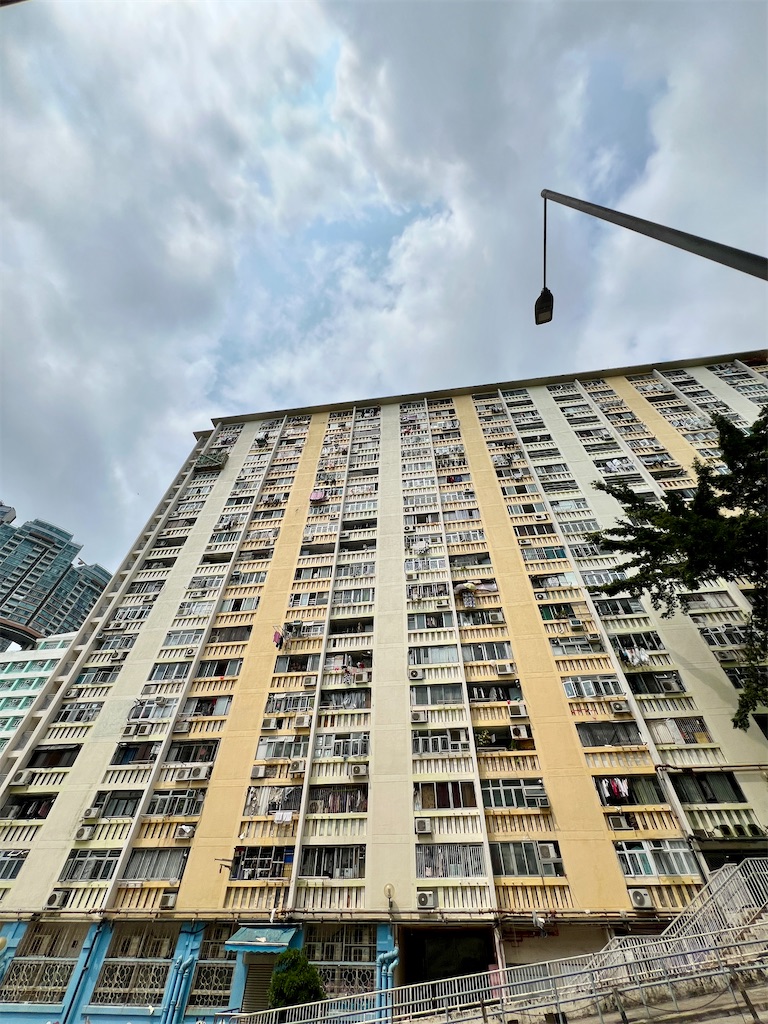 f:id:MisaTamaki:20250330154301j:image