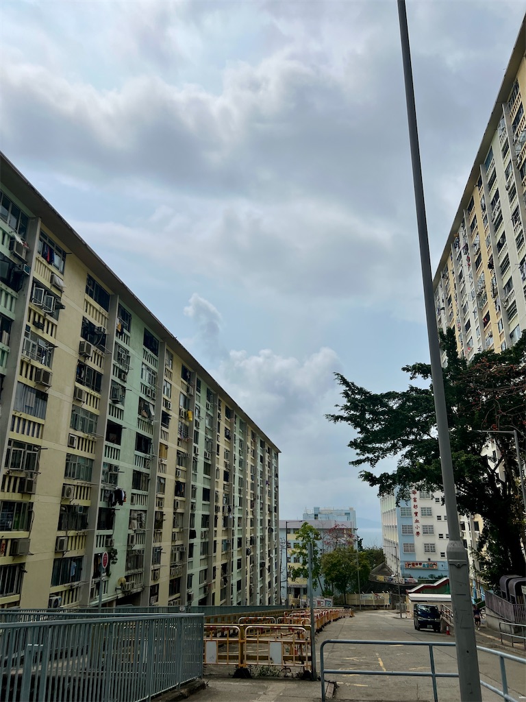 f:id:MisaTamaki:20250330154303j:image