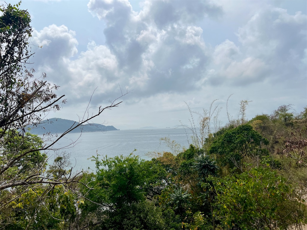 f:id:MisaTamaki:20250330154444j:image