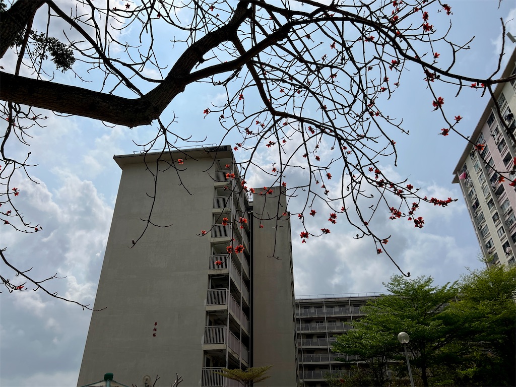 f:id:MisaTamaki:20250330154607j:image