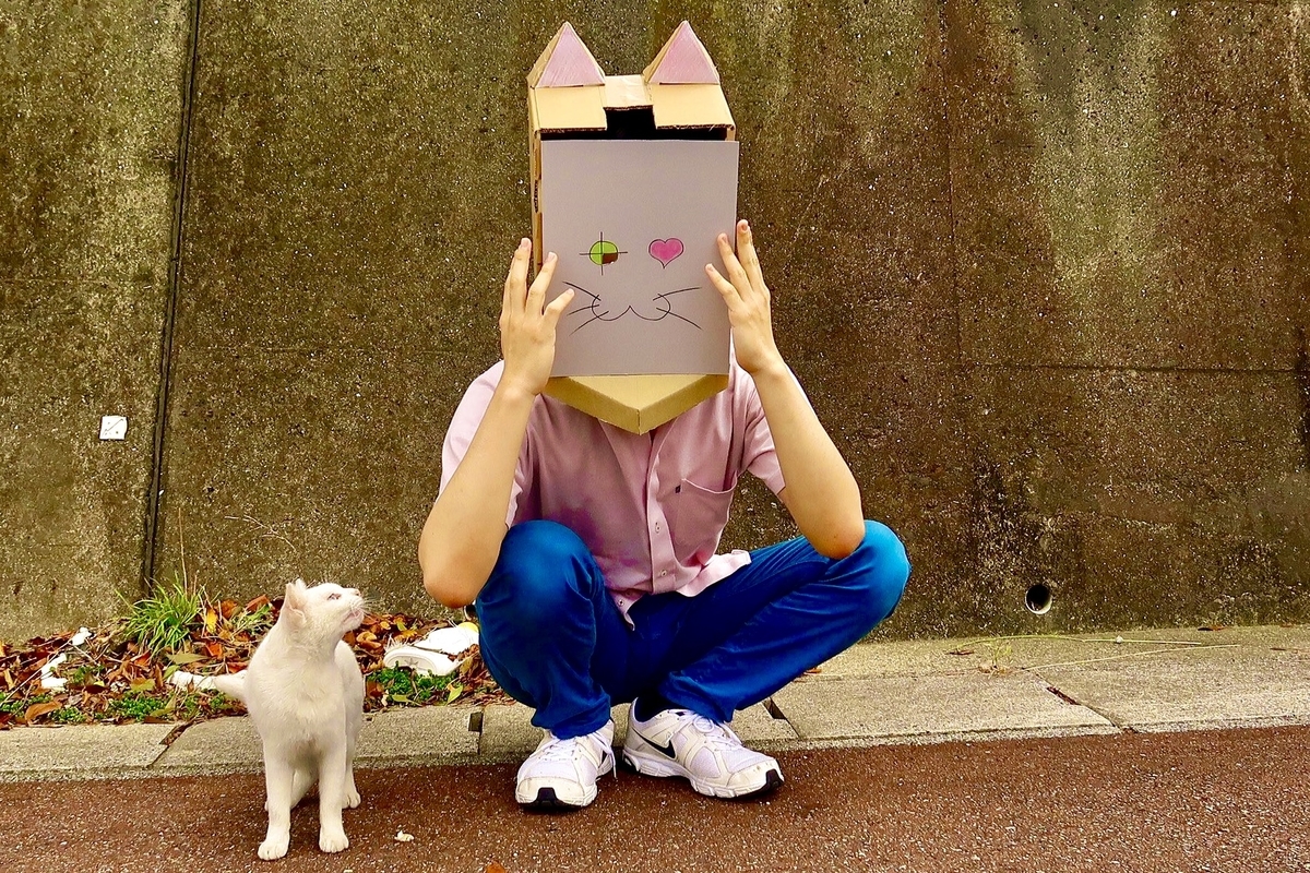 f:id:Misnieju:20201130233840j:plain