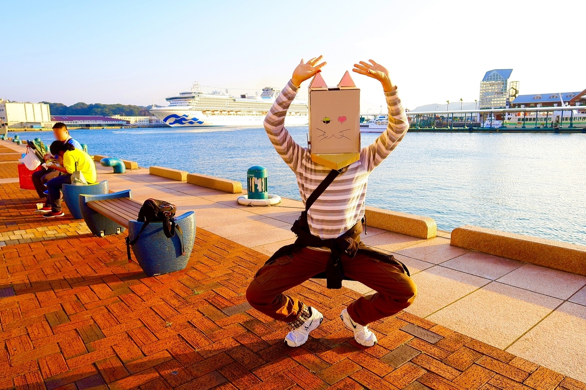 f:id:Misnieju:20201202154449j:plain