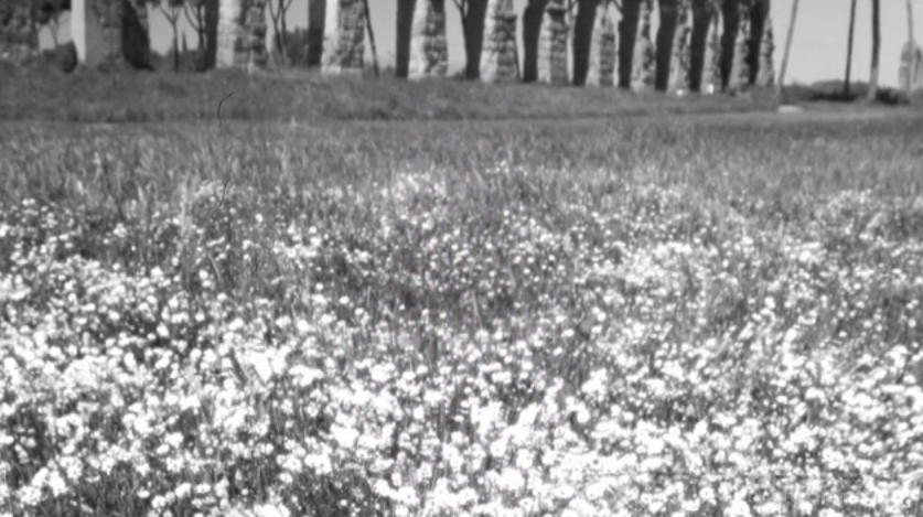 f:id:Mistclast:20170207202155p:plain