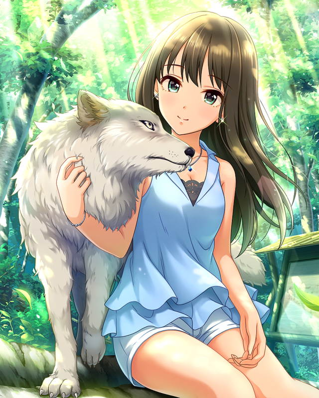 f:id:Mister-P:20190602223023p:plain