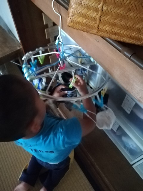 f:id:Mitchan:20190605053109j:image