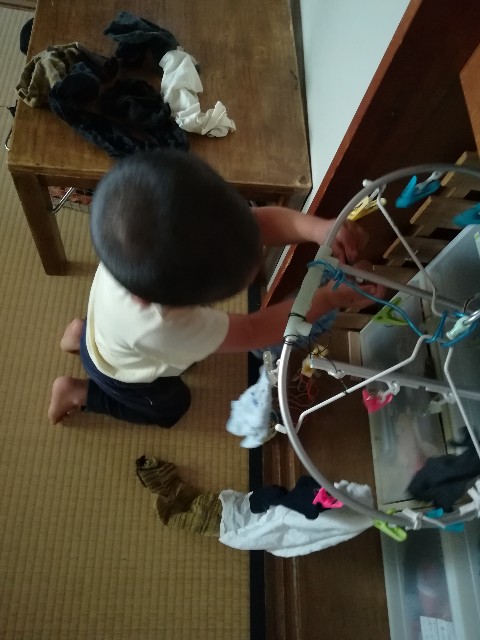 f:id:Mitchan:20190605053136j:image