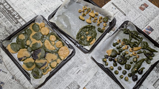 f:id:Mitchan:20250402091519j:image