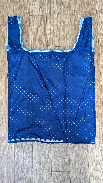 f:id:Mitchan:20250409081320j:image