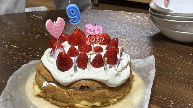 f:id:Mitchan:20250415095709j:image