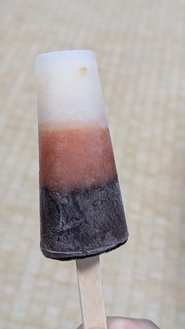 f:id:Mitchan:20250704110232j:image