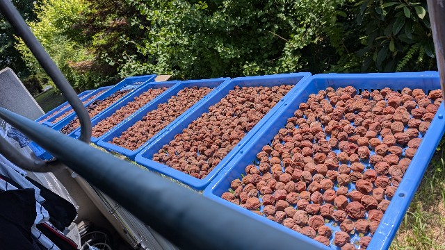 f:id:Mitchan:20250724055203j:image