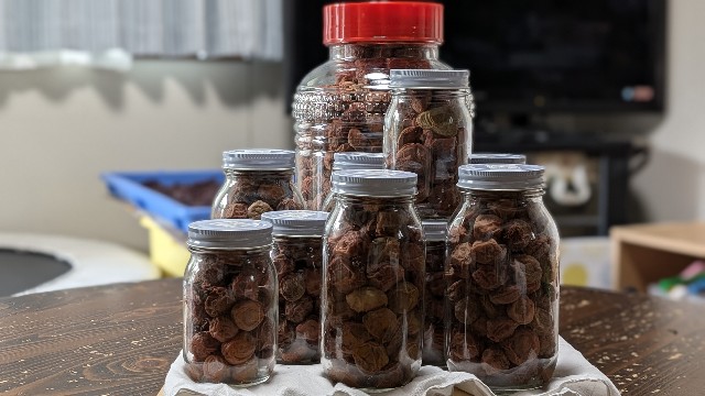 f:id:Mitchan:20250724060000j:image