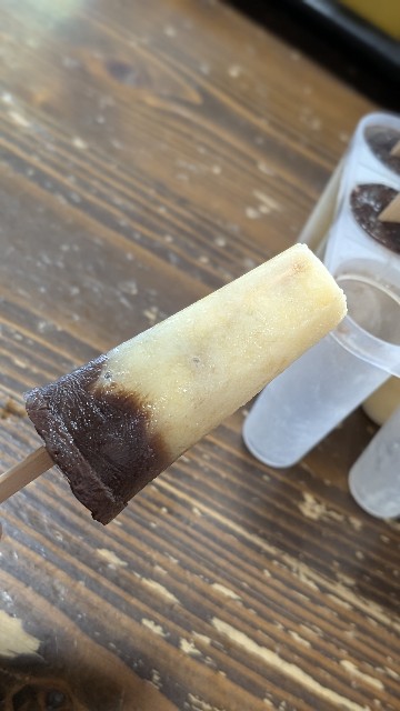 f:id:Mitchan:20250810095548j:image