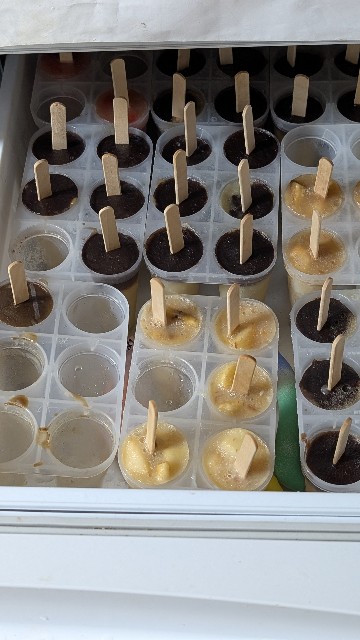 f:id:Mitchan:20250810095601j:image