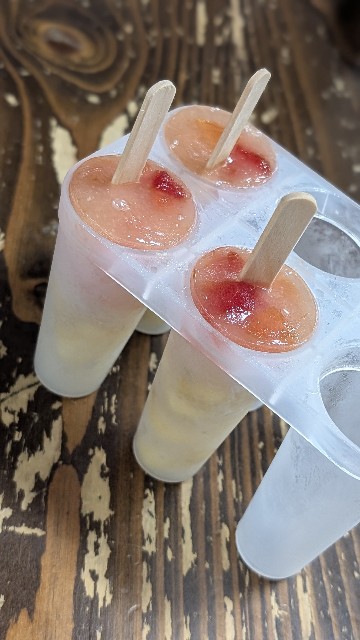 f:id:Mitchan:20250810095634j:image