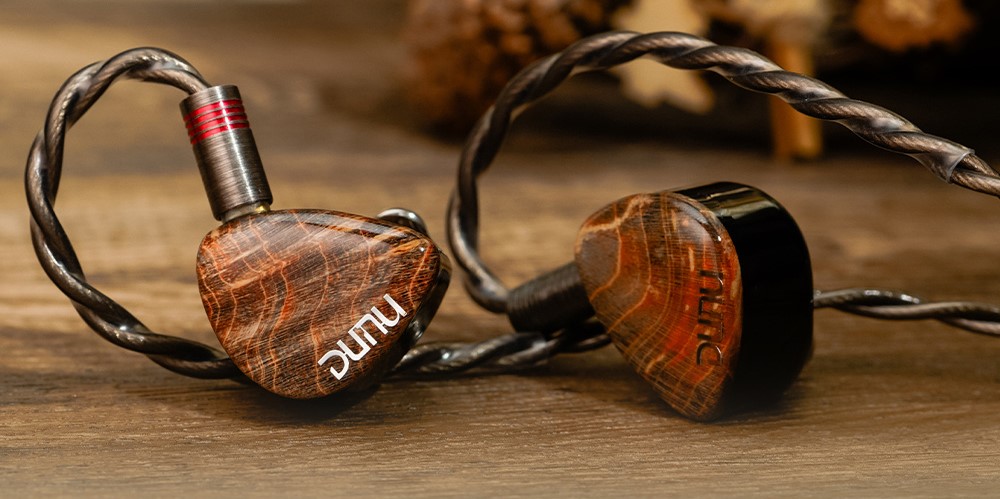 【美品】DUNU DaVinci 有線イヤホン ミドルクラスNo.1】との呼び声高いイヤホン「DUNU x Gizaudio