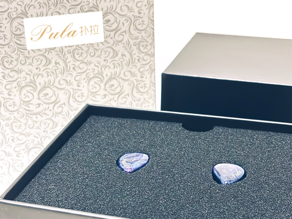 f:id:MitirEarphone:20241127023320j:image