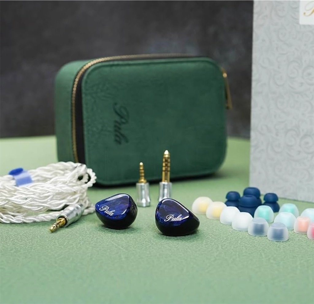 f:id:MitirEarphone:20241127025625j:image