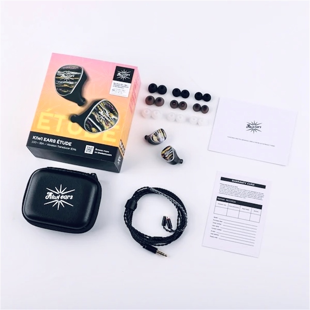 f:id:MitirEarphone:20250705041117j:image