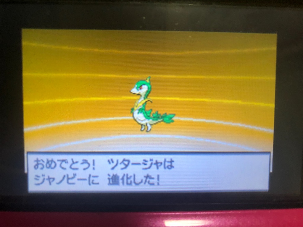ツタージャとは ゲームの人気 最新記事を集めました はてな