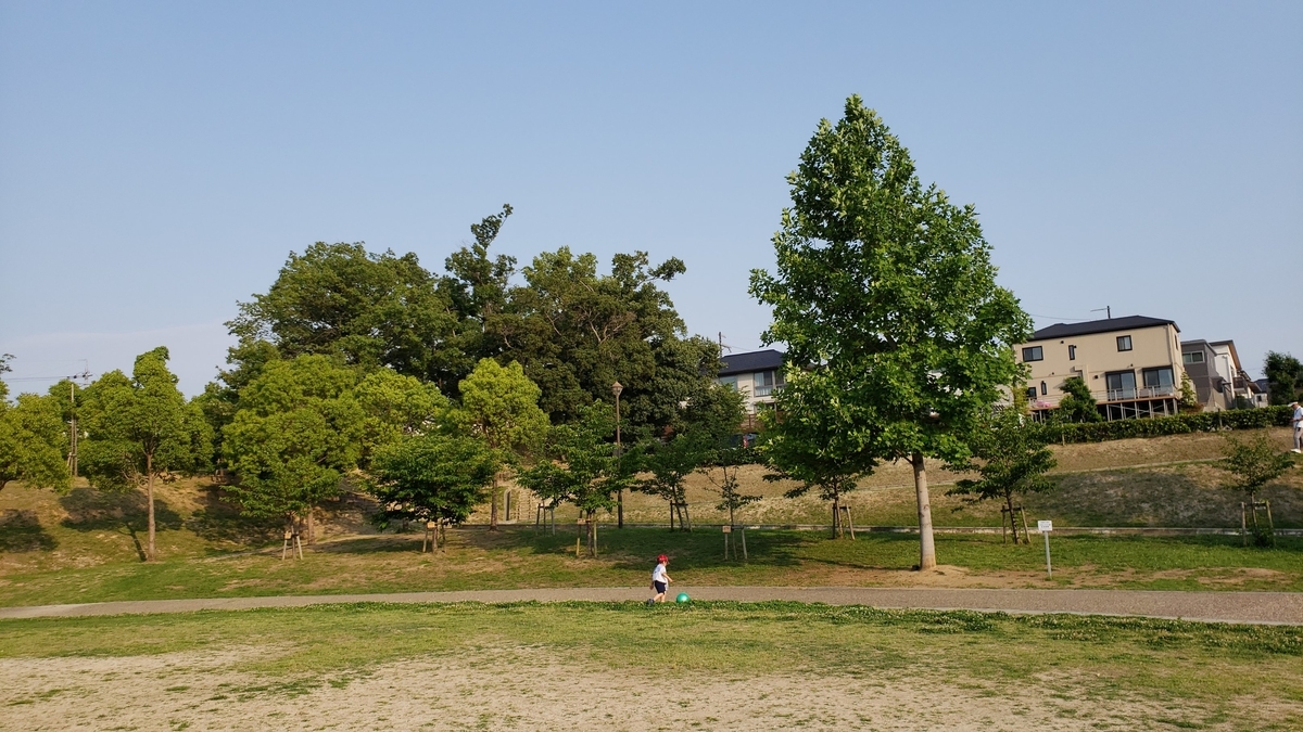 f:id:Mitsu-RS:20210616063010j:plain