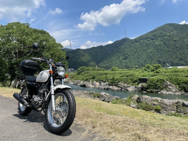 しろとかげ しろとかげ
