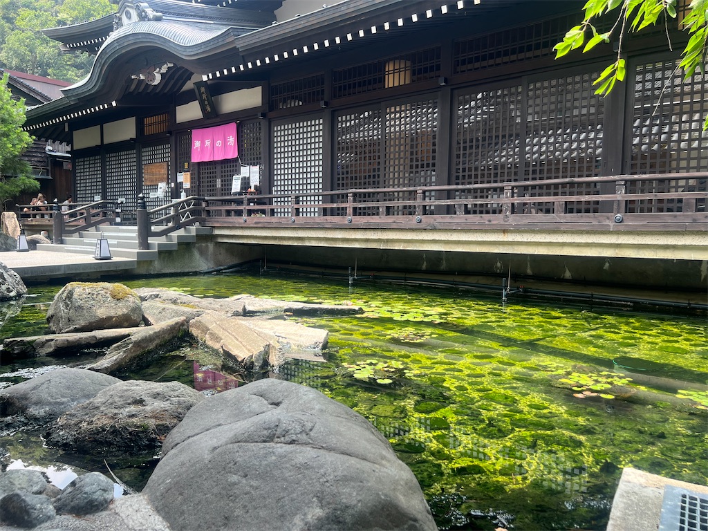 f:id:Mitsuya_Kenken:20260719135207j:image