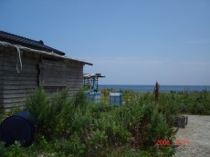 f:id:Mitts:20060821121132j:image