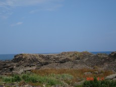 f:id:Mitts:20060821121640j:image